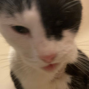 Meet your Posher, Liv